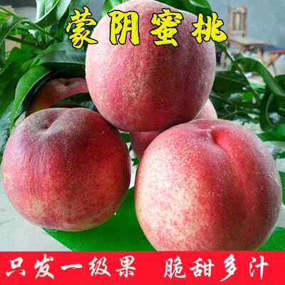 蒙阴水蜜桃毛桃新鲜桃子脆甜