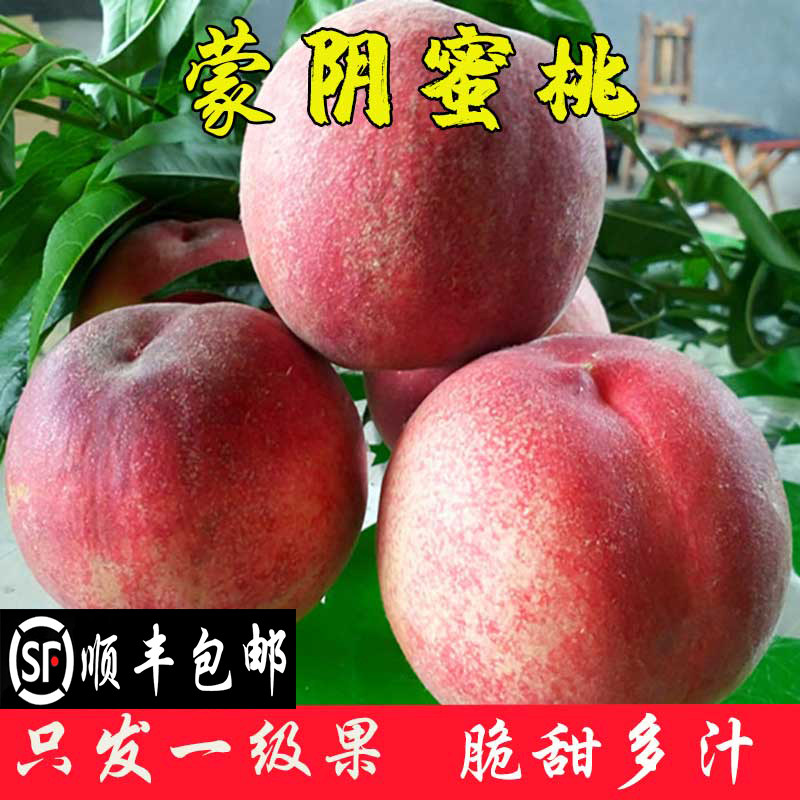 蒙阴桃子整箱新鲜水果