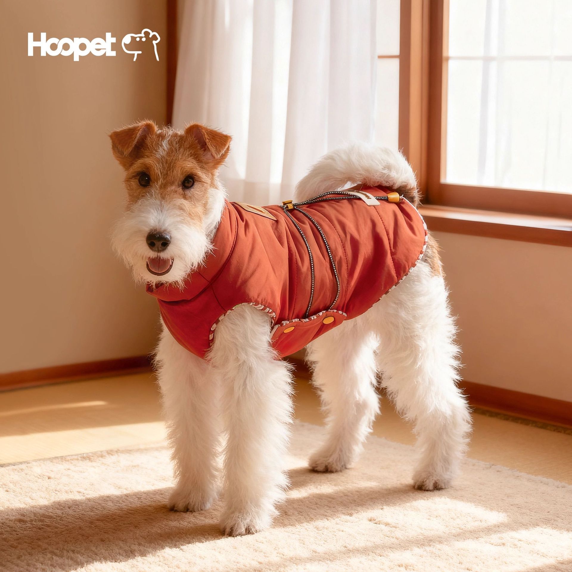 Hoopet防泼水棉服背心宠物秋冬款外出保暖棉衣小狗小猫加厚棉袄