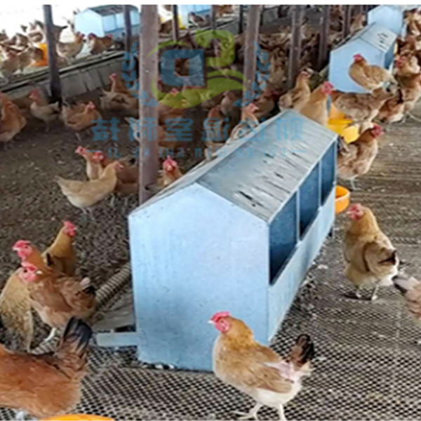 产蛋箱下蛋窝小鸡生蛋箱母鸡生蛋设配养殖场专用养鸡设备漏粪板