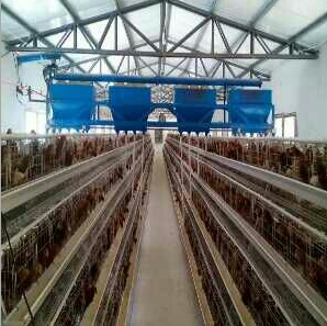 新款 天车喂料机机机蛋鸡全自动设备料车电动加料车遥控送料车