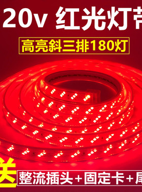 红色灯带220vled软灯带户外防水超高亮红光灯条中国红暖白金黄蓝