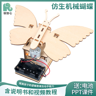 仿生电动机械蝴蝶电齿轮传动仿真diy手工小学生三四年级科技制作