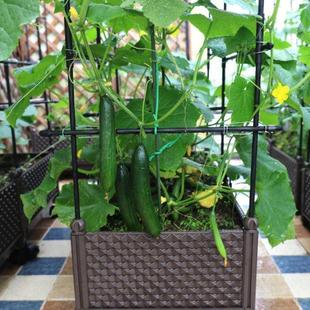 种植箱阳台西红柿黄瓜爬藤塑料家庭种菜盆辣椒菜槽长方形塑料花盆
