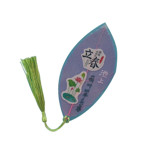 24节气叶脉干花书签diy自制材料包中国风儿童可爱天然树叶子干花塑封膜制作素材真干花标本创意学生用礼物
