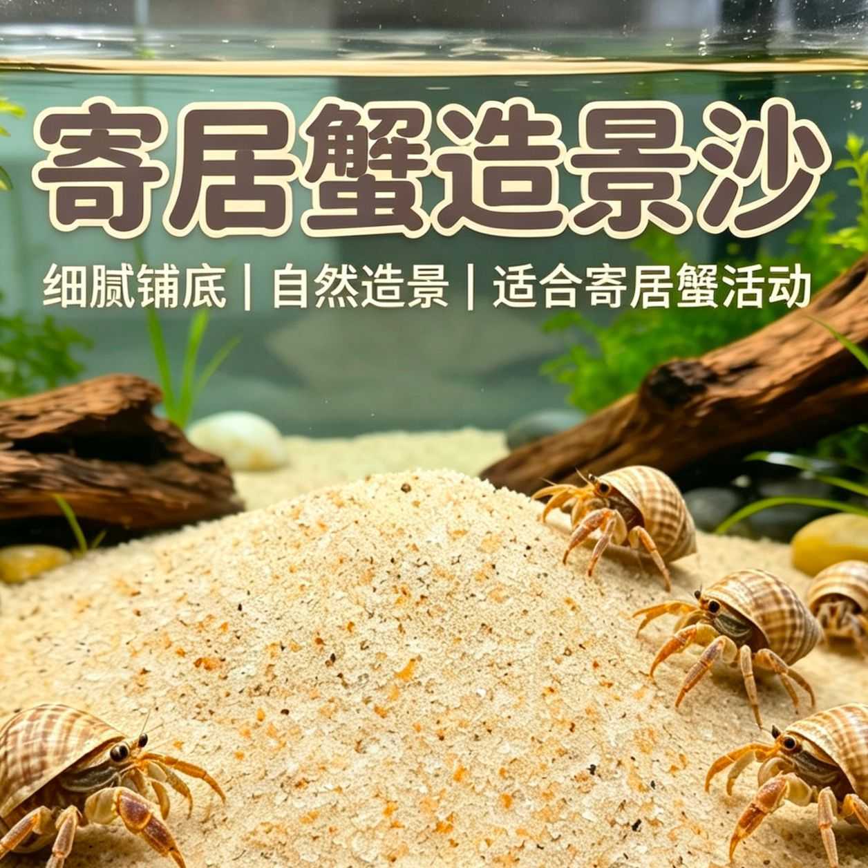家养寄居蟹用品海沙蟹养螃蟹垫料
