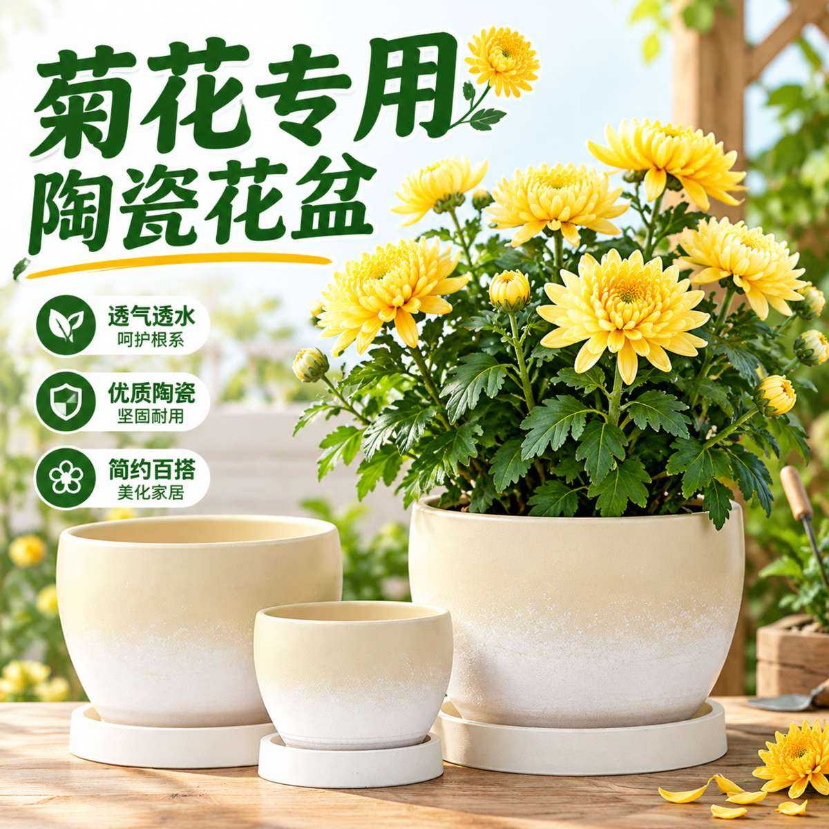 菊花专用花盆家用郁金香土培