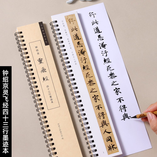 宣魁灵飞经成人小楷离得近