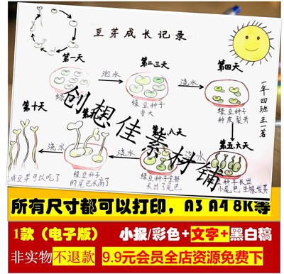 绿豆芽生长记手抄报小学初中生自然笔记植物生长绿豆芽手抄报模板