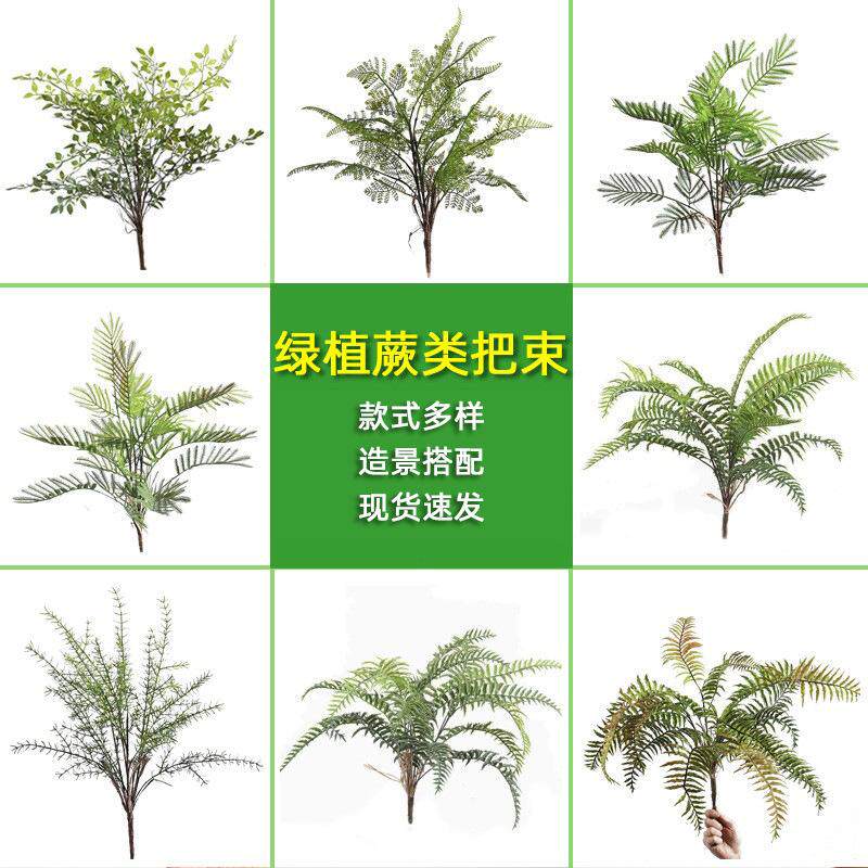 仿真波斯厥叶蕨类植物假花草绿色