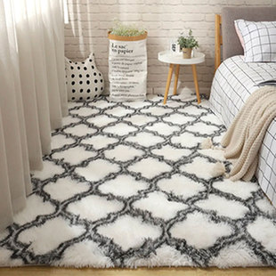 ins风家用地毯卧室床边客厅沙发进门满铺加厚地毯少女房间丝毛毯