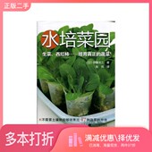 正版 社9787538194029 二手图书水培菜园伊藤龙三辽宁科学技术出版