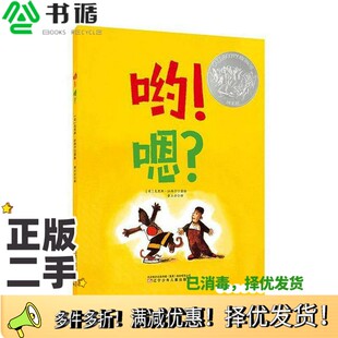 克里斯·拉西卡著绘；童立方译辽宁少年儿童出版 美 社9787531576303 二手图书哟嗯 正版
