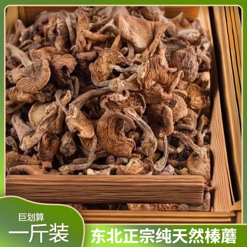 正宗东北野生榛蘑特产榛蘑菇小鸡炖蘑菇天然蘑菇钉无根无沙新货