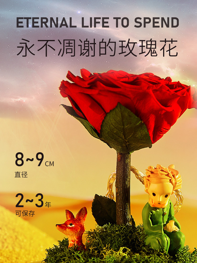 小王子玫瑰花永生花干花礼盒摆件生日送女生女朋友情人节520礼物