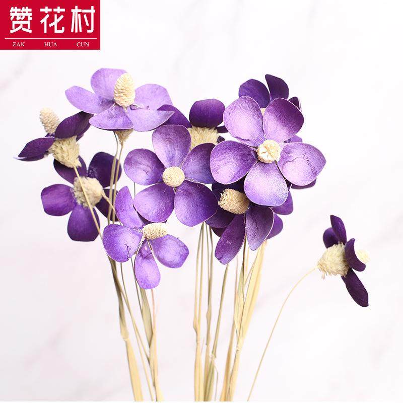 新款直销云南干花花束紫罗兰蝴蝶兰 田园自然插花染色DIY粘接花插