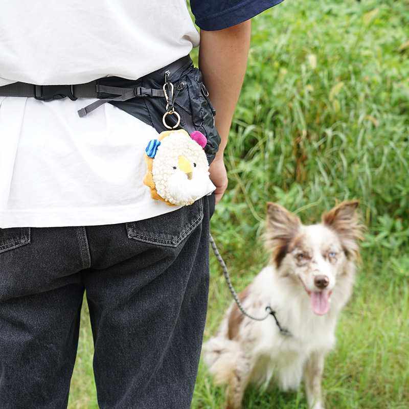 新款直销GiGwi贵为狗狗毛绒拾便袋宠物猫垃圾袋一次性遛狗捡屎袋,服饰配件/皮带/帽子/围巾,包挂件,淘宝优惠券,粉丝福利购,淘宝优惠卷