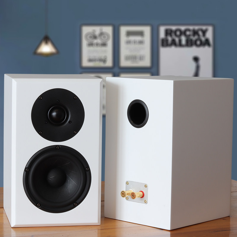 原创设计5寸西瓜皮家用发烧hifi无源书架diy音箱 通透甜美有磁性