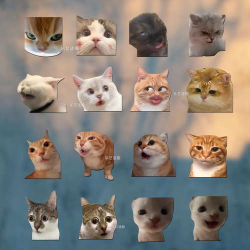 搞笑猫咪MEME防水防晒汽车贴纸