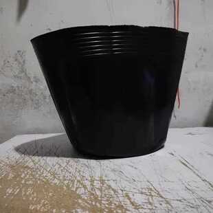 新款直销有孔营养杯营养钵育苗盆育苗袋荷花专用水培荷花盆无孔水