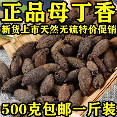 母丁香包邮新货香料鸡舌香雌丁香亭炅独生母丁香中药材