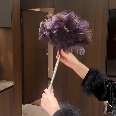 扫灰神器鸵鸟毛掸子可伸缩除尘扫灰家用高颜值不掉毛防静电摆件