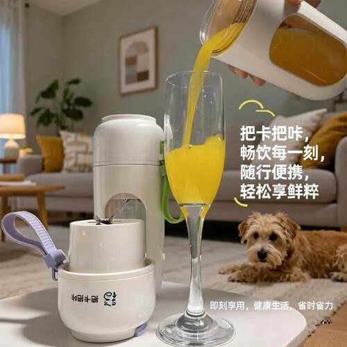 女神养生可携式榨汁机多功能破壁奶昔杯急冻果汁杯随行双盖锁鲜12
