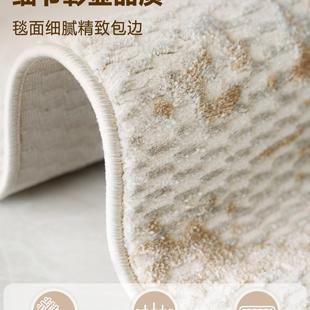 地毯客厅现代简约轻奢沙发高级灰茶几毯家用北欧床边卧室地毯耐脏