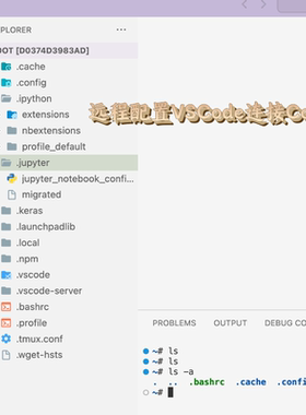 远程配置vscode连接google colab算力服务器支持GPU编程开发