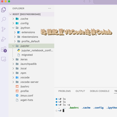 vscode连接googlecolab