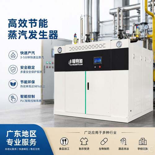 效节能燃气蒸汽发生器工业锅炉用于食品加工灭菌蒸汽发生器设备