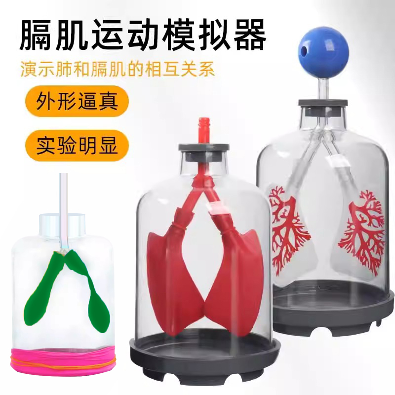 肺呼吸模型实验料包肺部通气教具
