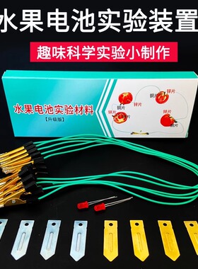 小学科学实验水果电池水果发电实验演示器DIY盐水土豆泥电池led初中物理器材电极锌片铜电极组装片材料自制作