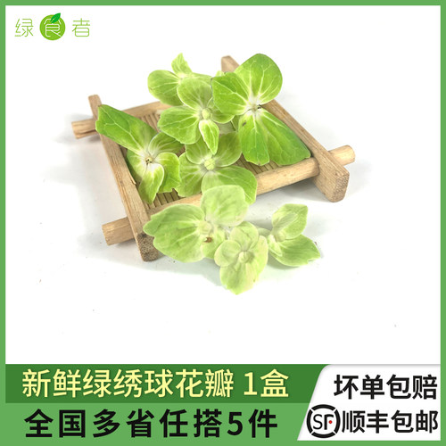 绣球花瓣餐厅日料摆盘装饰花草