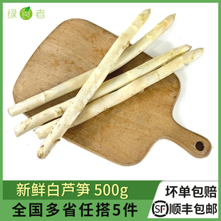 新鲜白芦笋1斤 当季蔬菜火锅生鲜炒菜凉拌食材中西餐配菜 5件包邮