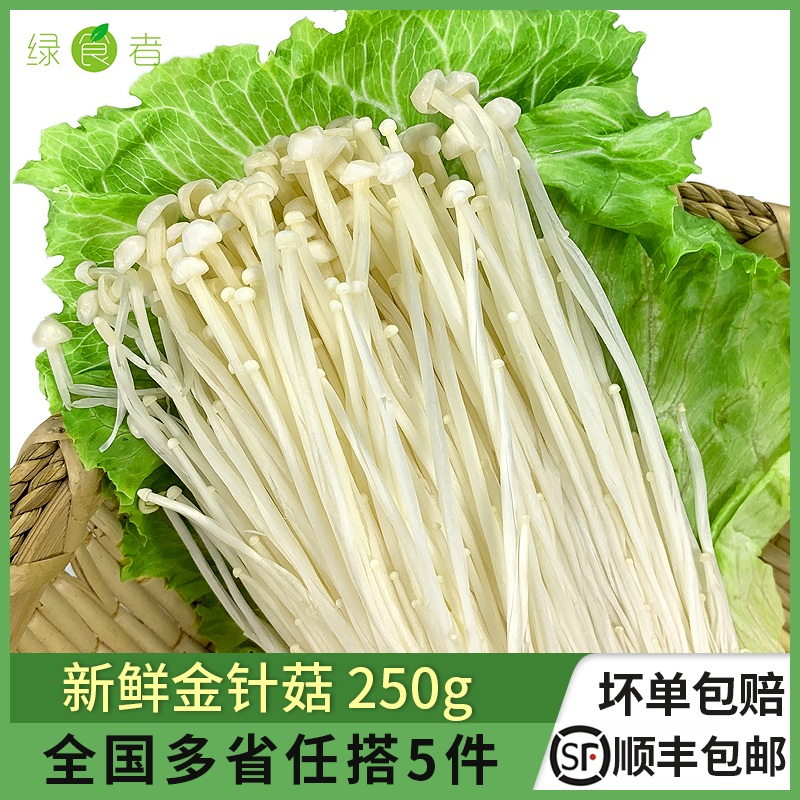 新鲜250g烧烤火锅素菜金针菇