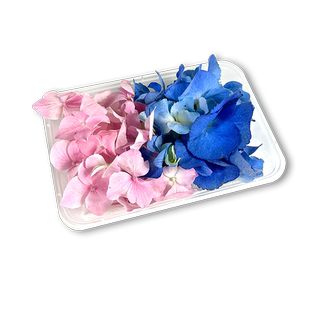 新鲜绣球花瓣1盒 蓝粉绣球西餐酒店日料菜品摆盘装饰 满5件包邮