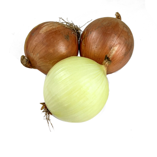 新鲜黄洋葱3斤左右 圆洋葱 洋葱头黄洋蒜 农家新鲜蔬菜 满5件包邮