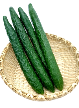 新鲜黄瓜500g绿食者蔬菜