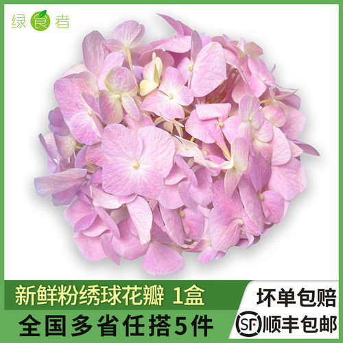 绿食者粉绣球花瓣摆盘装饰
