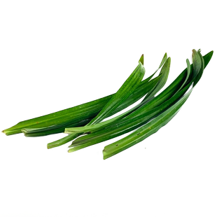 新鲜香兰叶500g 班兰叶甲抛叶斑斓蛋糕千层糕芒果糯米饭调料香料