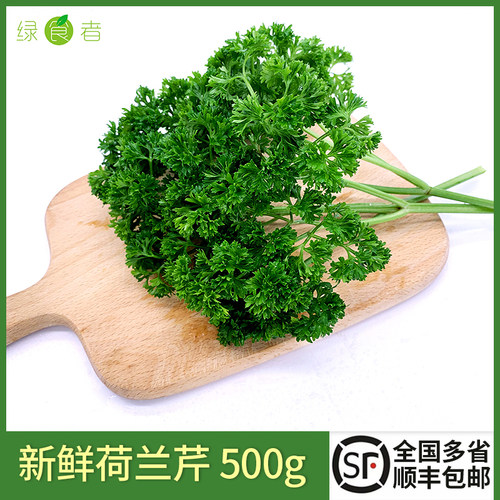 新鲜荷兰芹 法国香菜欧芹西洋芹 西餐蔬菜火锅摆盘装饰用材料包邮