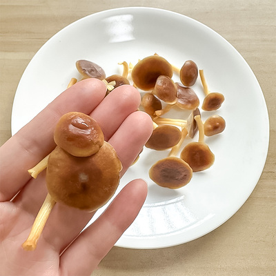 新鲜山茶茸250g/盒 嫩滑爽口珍稀菌菇炒菜鲜美 多省满5件顺丰包邮