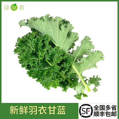 绿食者新鲜羽衣甘蓝顺丰包邮