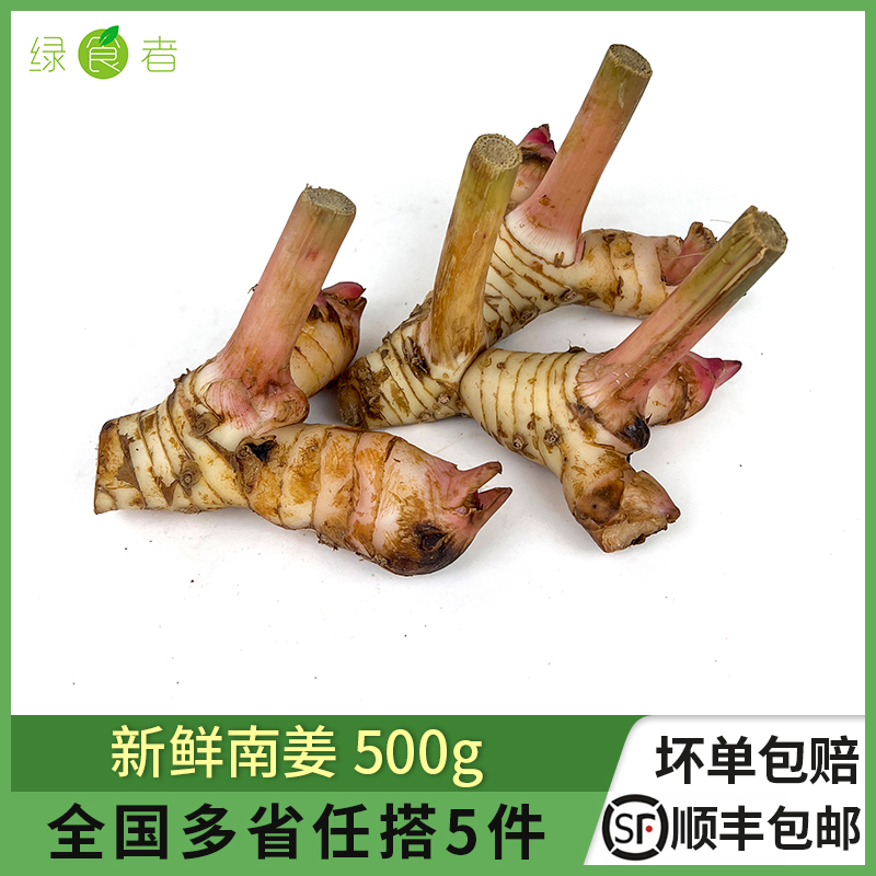 新鲜南姜500g 泰国南姜泰式冬阴功汤调料火锅底料蔬菜生姜香料 水产肉类/新鲜蔬果/熟食 生姜/南姜 原图主图