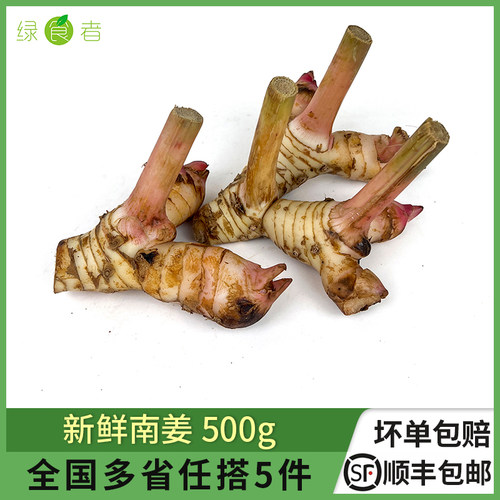 新鲜南姜冬阴功香料调料