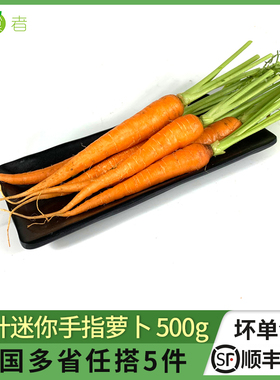 去叶手指胡萝卜500g 迷你水果小胡萝卜 新鲜蔬菜沙拉食材 5件包邮