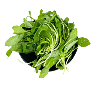 新鲜马兰头500g 鸡儿肠 农家绿色蔬菜马兰头凉拌食材 满5件包邮