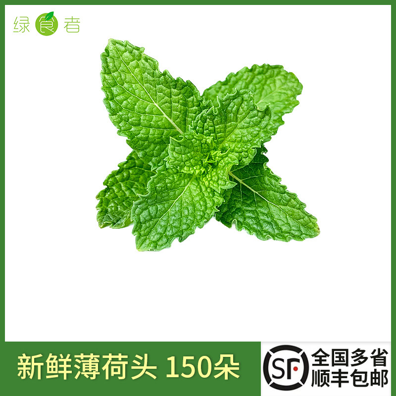 新鲜装饰薄荷头150朵 食用薄荷叶尖蛋糕烘焙调酒莫吉托摆盘装饰用