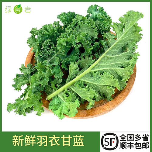 新鲜羽衣甘蓝2斤 嫩叶芥蓝甘兰叶牡丹kale西餐榨汁沙拉蔬菜食材 - 封面